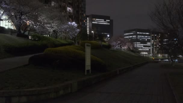 Tokyo Cherry Blossom Noční Pohled 2022 — Stock video