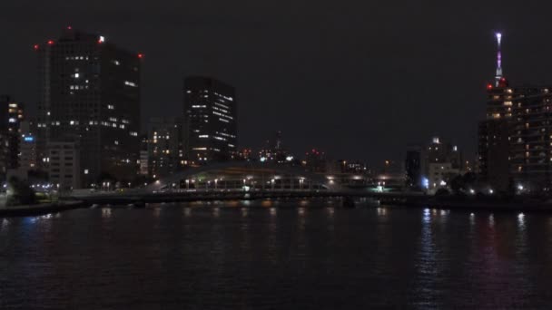 Tokyo Cherry Best Night View 2022 — стоковое видео