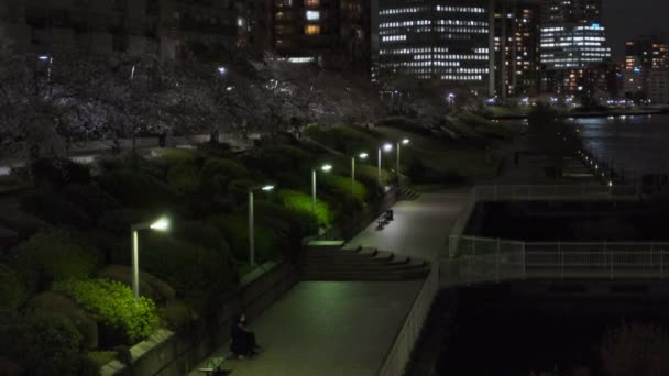 Tokyo Cherry Blossom Vista Noturna 2022 — Vídeo de Stock