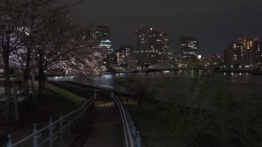 Tokyo Kiraz Çiçeği Gece Görüşü 2022