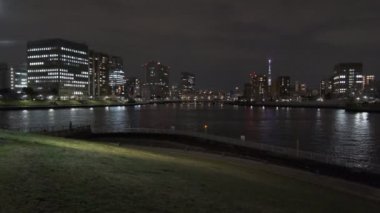 Tokyo Kiraz Çiçeği Gece Görüşü 2022