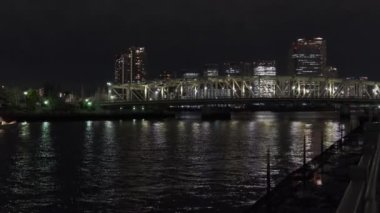 Tokyo Kiraz Çiçeği Gece Görüşü 2022