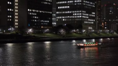Tokyo Kiraz Çiçeği Gece Görüşü 2022