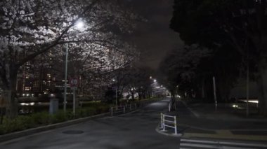 Tokyo Kiraz Çiçeği Gece Görüşü 2022