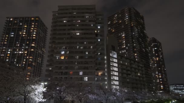 Tokyo Fiore Ciliegio Vista Notturna 2022 — Video Stock