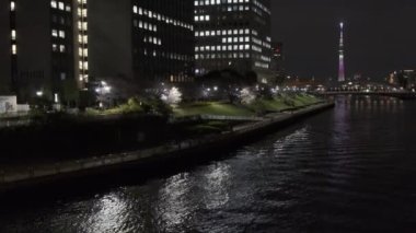 Tokyo Kiraz Çiçeği Gece Görüşü 2022