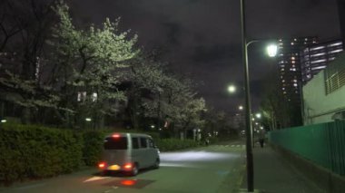 Tokyo Kiraz Çiçeği Gece Görüşü 2022