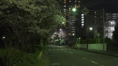 Tokyo Kiraz Çiçeği Gece Görüşü 2022