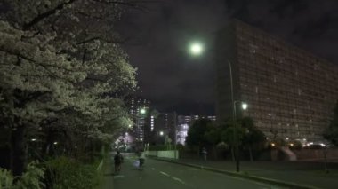 Tokyo Kiraz Çiçeği Gece Görüşü 2022