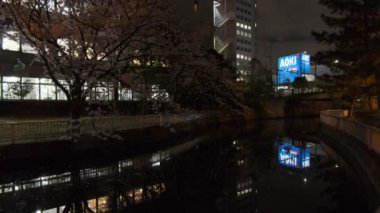 Tokyo Kiraz Çiçeği Gece Görüşü 2022