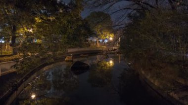 Tokyo Kiraz Çiçeği Gece Görüşü 2022