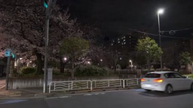Tokyo Kiraz Çiçeği Gece Görüşü 2022