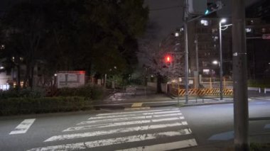 Tokyo Kiraz Çiçeği Gece Görüşü 2022