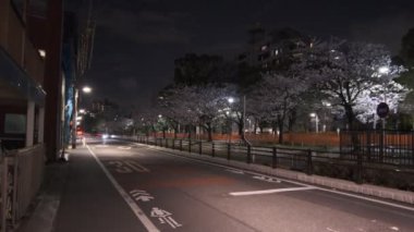 Tokyo Kiraz Çiçeği Gece Görüşü 2022