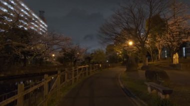 Tokyo Kiraz Çiçeği Gece Görüşü 2022