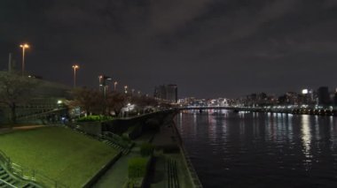 Tokyo Kiraz Çiçeği Gece Görüşü 2022