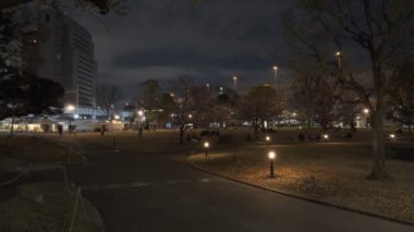 Tokyo Kiraz Çiçeği Gece Görüşü 2022