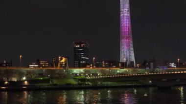Tokyo Kiraz Çiçeği Gece Görüşü 2022