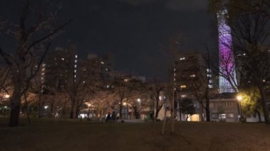 Tokyo Kiraz Çiçeği Gece Görüşü 2022