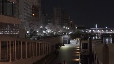 Tokyo Kiraz Çiçeği Gece Görüşü 2022