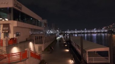 Tokyo Kiraz Çiçeği Gece Görüşü 2022