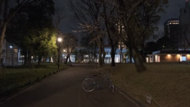 Tokyo Kiraz Çiçeği Gece Görüşü 2022