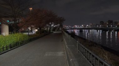 Tokyo Kiraz Çiçeği Gece Görüşü 2022