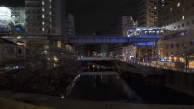 Tokyo Meguro Nehri Kiraz Çiçeği Gecesi 2022