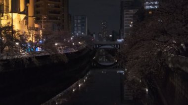 Tokyo Meguro Nehri Kiraz Çiçeği Gecesi 2022