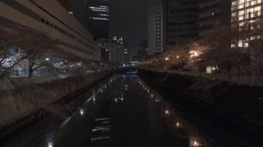 Tokyo Meguro Nehri Kiraz Çiçeği Gecesi 2022