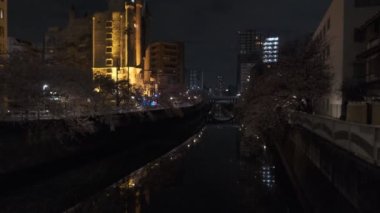 Tokyo Meguro Nehri Kiraz Çiçeği Gecesi 2022