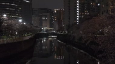 Tokyo Meguro Nehri Kiraz Çiçeği Gecesi 2022