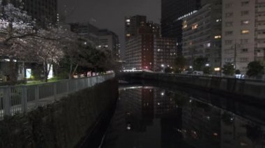 Tokyo Meguro Nehri Kiraz Çiçeği Gecesi 2022