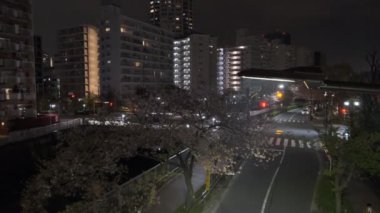 Tokyo Meguro Nehri Kiraz Çiçeği Gecesi 2022