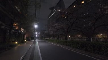 Tokyo Meguro Nehri Kiraz Çiçeği Gecesi 2022