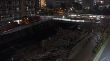 Tokyo Meguro Nehri Kiraz Çiçeği Gecesi 2022