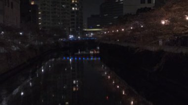 Tokyo Meguro Nehri Kiraz Çiçeği Gecesi 2022
