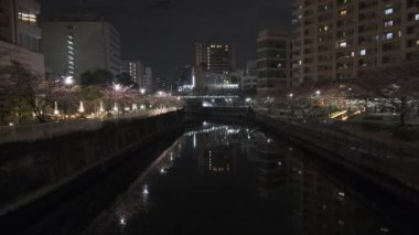 Tokyo Meguro Nehri Kiraz Çiçeği Gecesi 2022