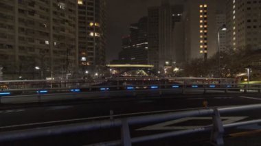 Tokyo Meguro Nehri Kiraz Çiçeği Gecesi 2022