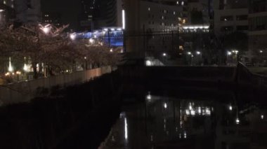 Tokyo Meguro Nehri Kiraz Çiçeği Gecesi 2022