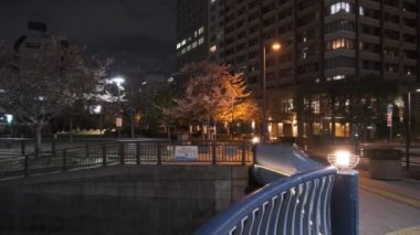 Tokyo Meguro Nehri Kiraz Çiçeği Gecesi 2022