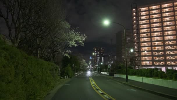 Tokyo Cherry Blossom Night View 2022 — Stock Video