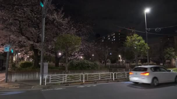 Tokyo Cherry Blossom Vista Noturna 2022 — Vídeo de Stock