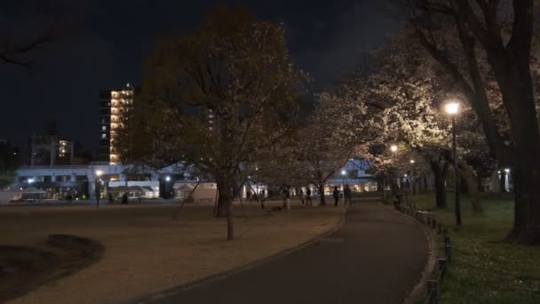 Tokyo Cherry Blossom Vista Noturna 2022 — Vídeo de Stock