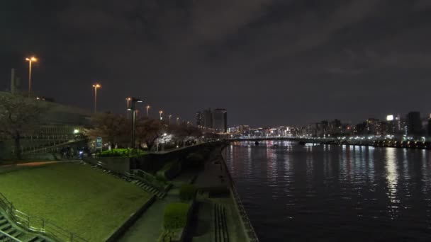Tokyo Cherry Blossom Vedere Noapte 2022 — Videoclip de stoc