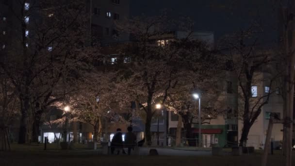 Tokyo Körsbärsblomma Nattutsikt 2022 — Stockvideo