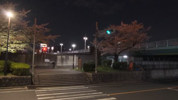 Tokyo Kiraz Çiçeği Gece Görüşü 2022 — Stok video