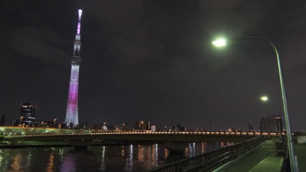 Tokyo Cherry Mekar Malam Melihat 2022 — Stok Video