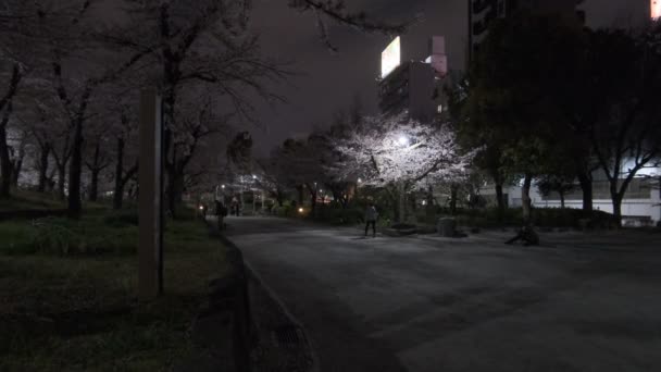 東京桜ナイトビュー2022 — ストック動画