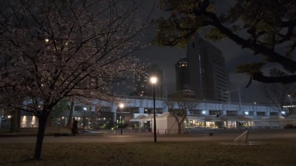 东京樱花夜景2022 — 图库视频影像